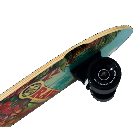 RAW Fully Assembled Skateboard Brazil Girl RN Vape Shop